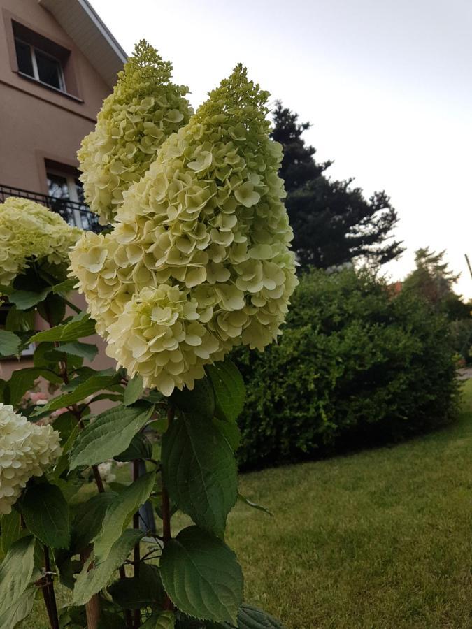 Janina Apartamento Pobierowo Exterior foto